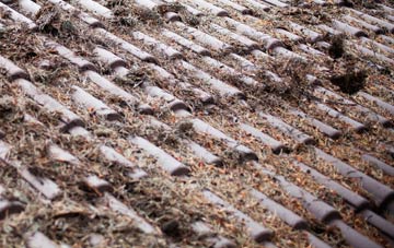 Little Birch roof cleaning companies