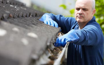 cleaning and inspecting Little Birch roofs