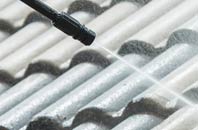 rated Little Birch roof cleaning companies